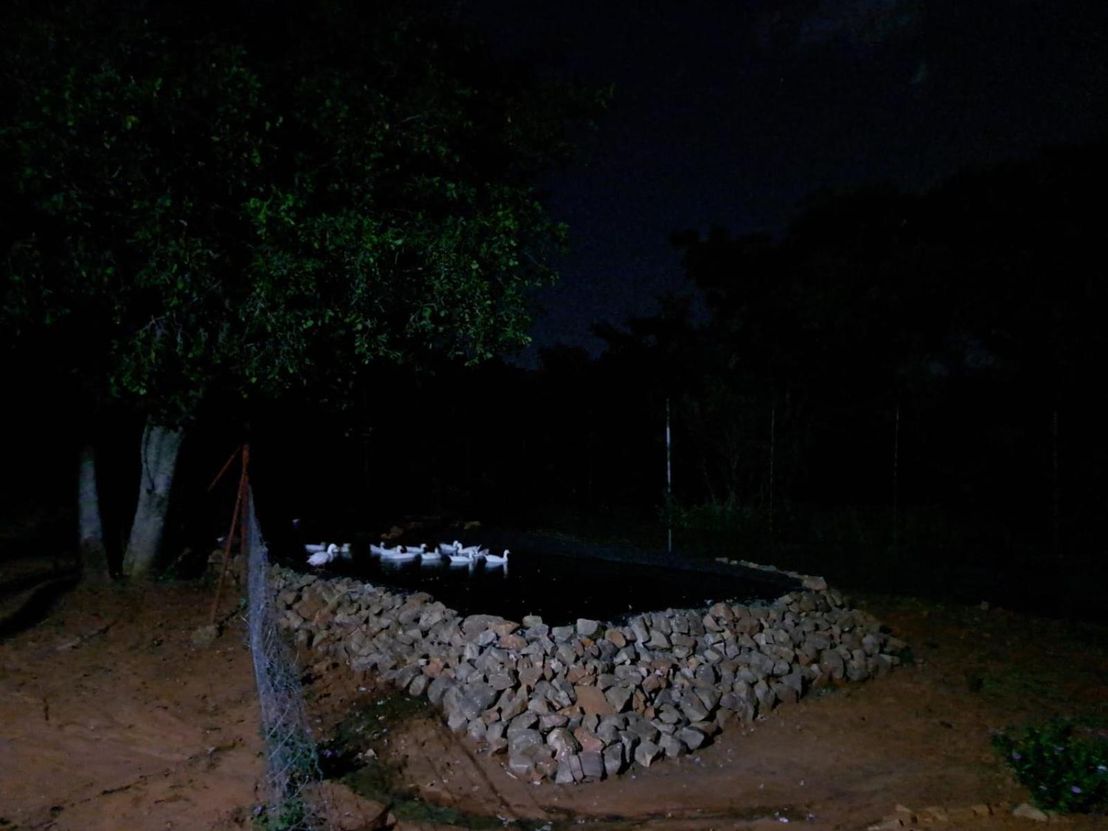 5 Sleeper Bushcamp Chalet Hartbeespoort Extérieur photo